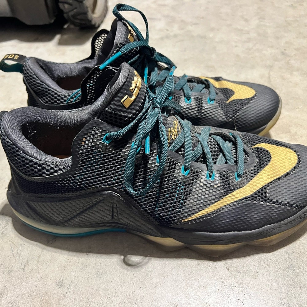 COPY - Lebron lows size 11.5